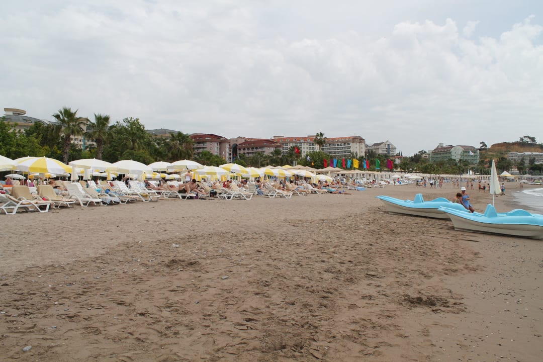 Blick auf die Liegen Hotel Gardenia Beach