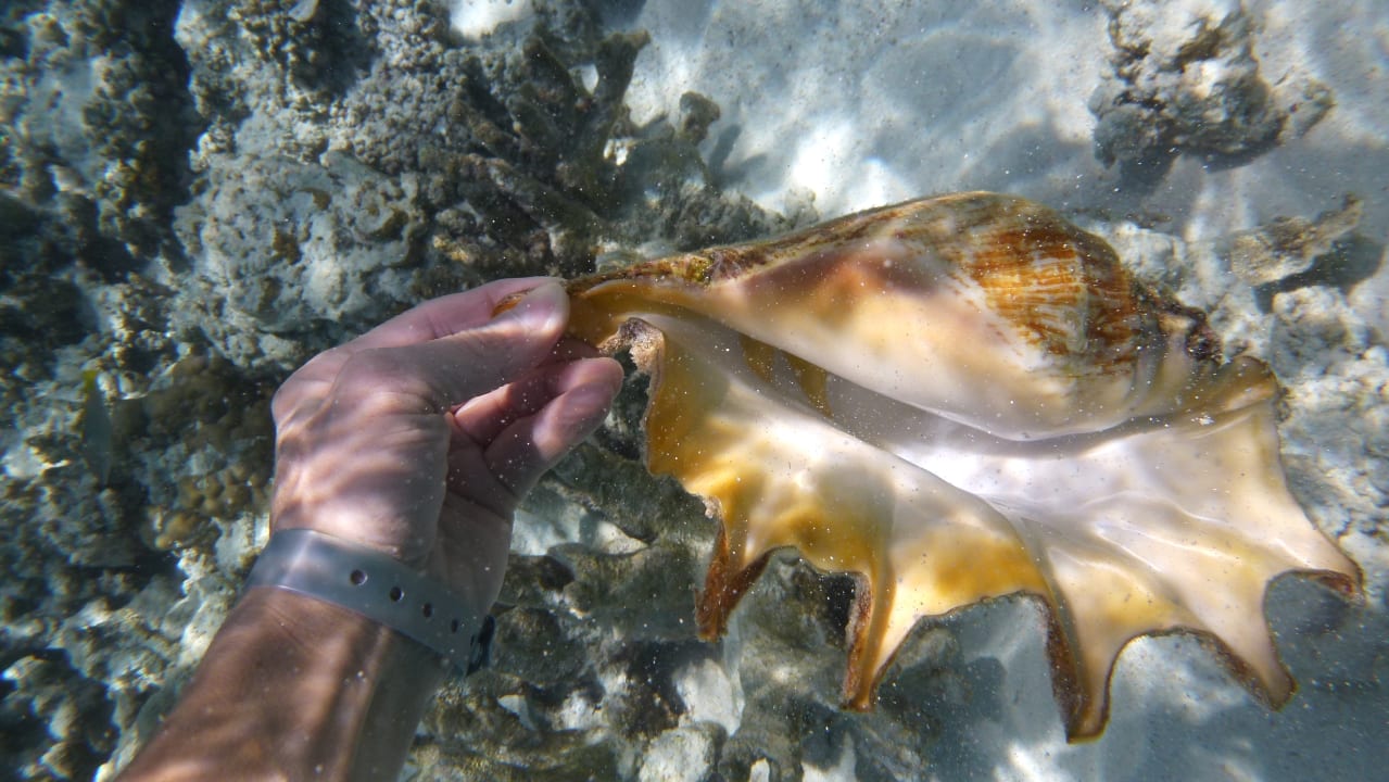 Strand Hotel Riu Palace Maldivas