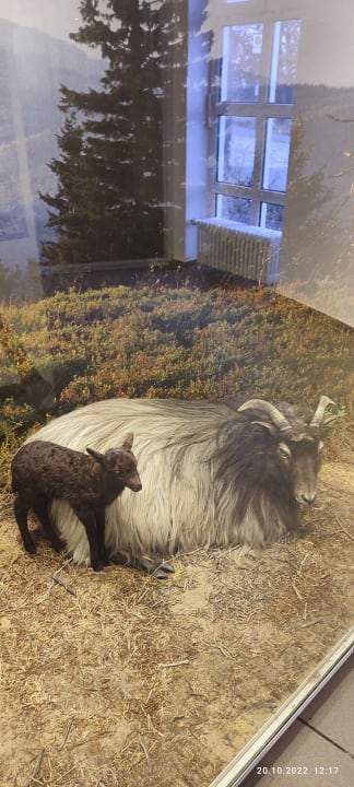 Ausblick Berghotel Hoher Knochen