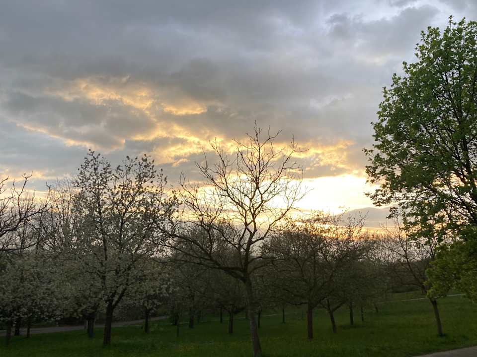 Außenansicht Apart Hotel am Sonnenhügel