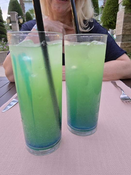 Gastro Dizalya Palm Garden