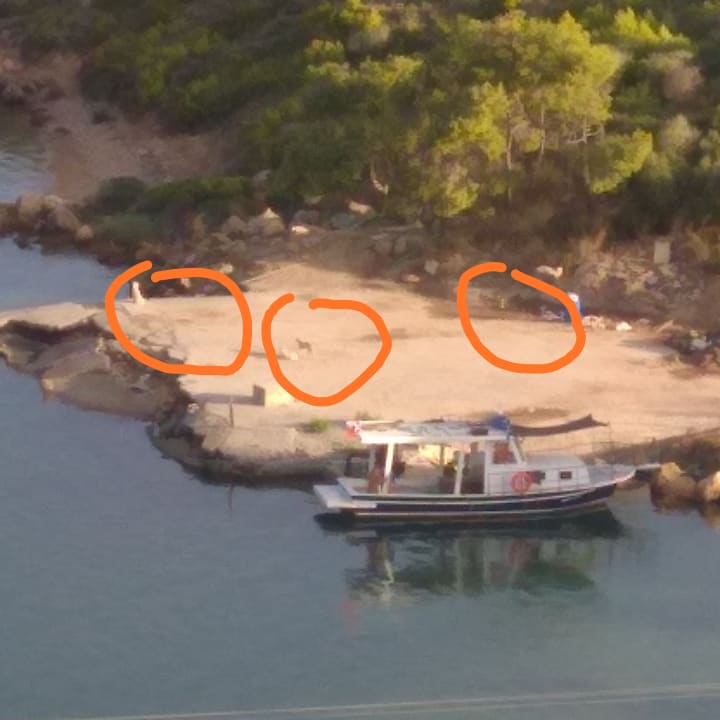 Zimmer La Blanche Island Bodrum