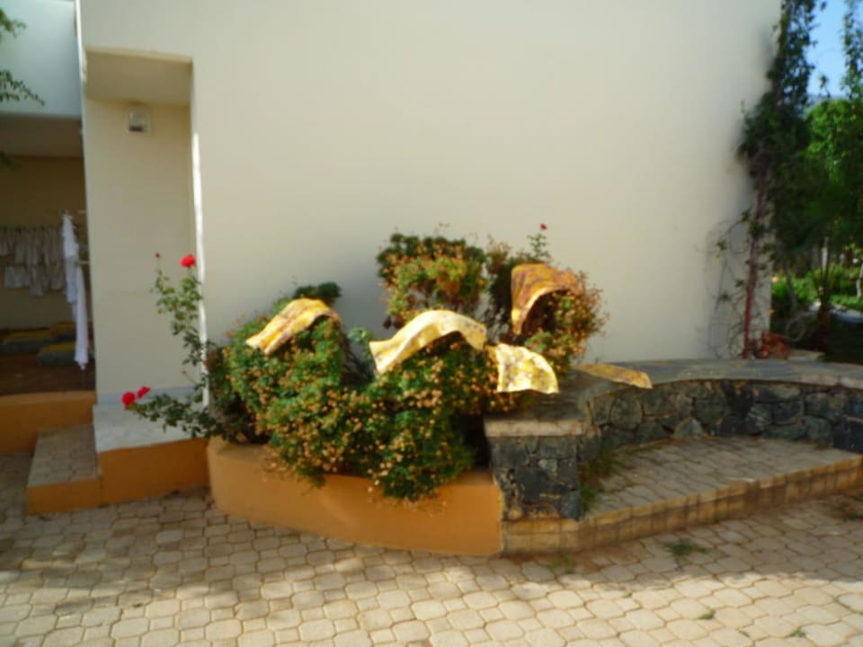 Duschvorleger- Strauch HARPIN Georgioupolis Resort Aquapark & SPA