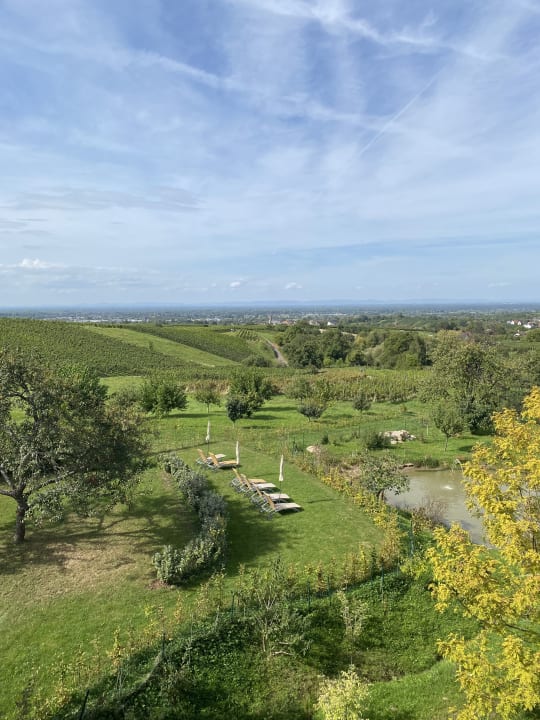 Ausblick Hotel Rebenhof