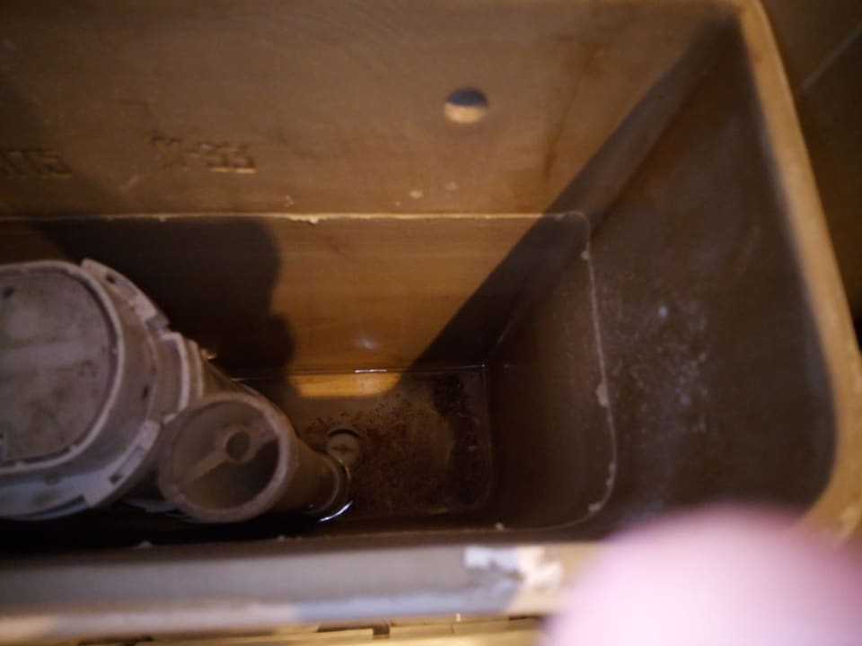 Zimmer The Beach House