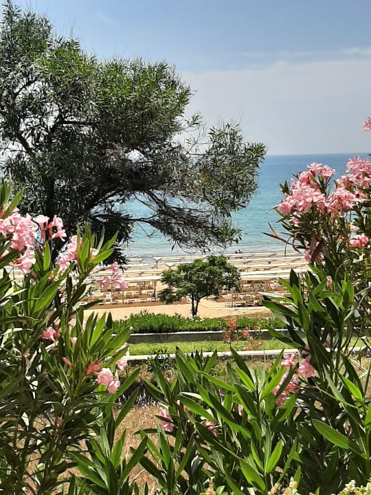 Ausblick Club Sidelya Hotel
