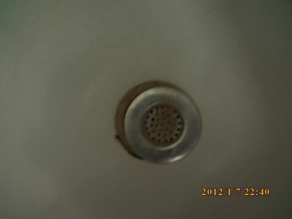 Haare vom den vorigen Gästen Desert Rose