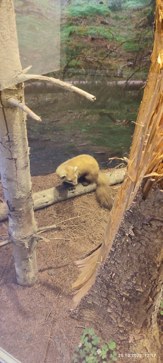 Ausblick Berghotel Hoher Knochen