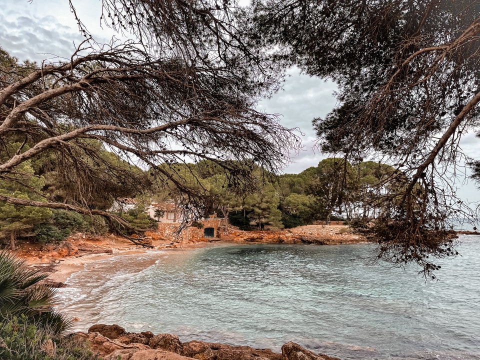 Ausblick Iberostar Waves Pinos Park