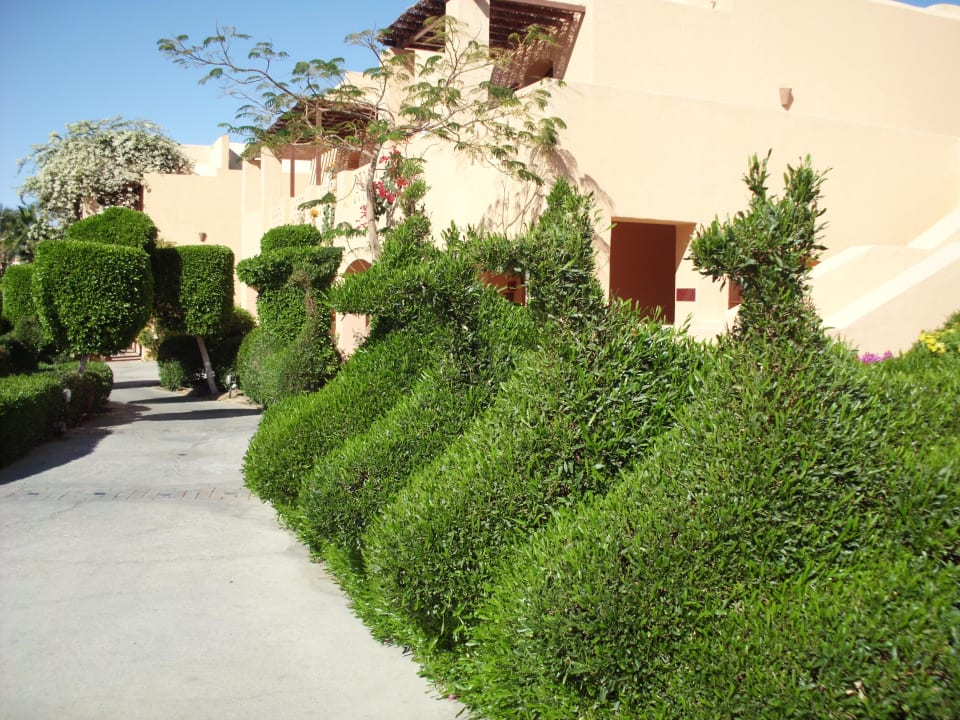 Heckenkunst im Madinat Jaz Makadi Blue - TUI BLUE Makadi - Adults Friendly 16 Years Plus