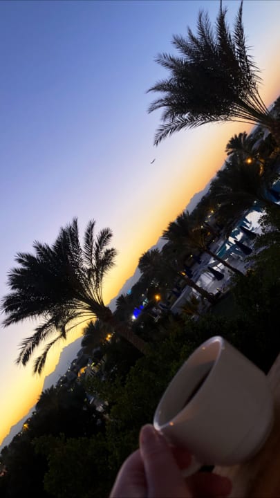 Ausblick Desert Rose