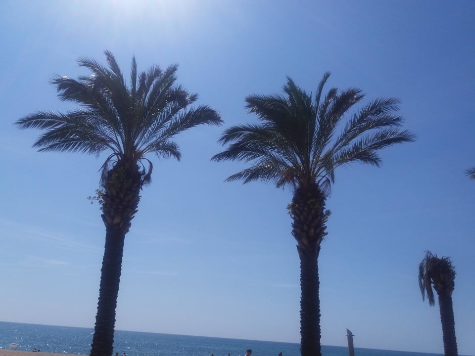 Plaza CAPRICI BEACH HOTEL & SPA