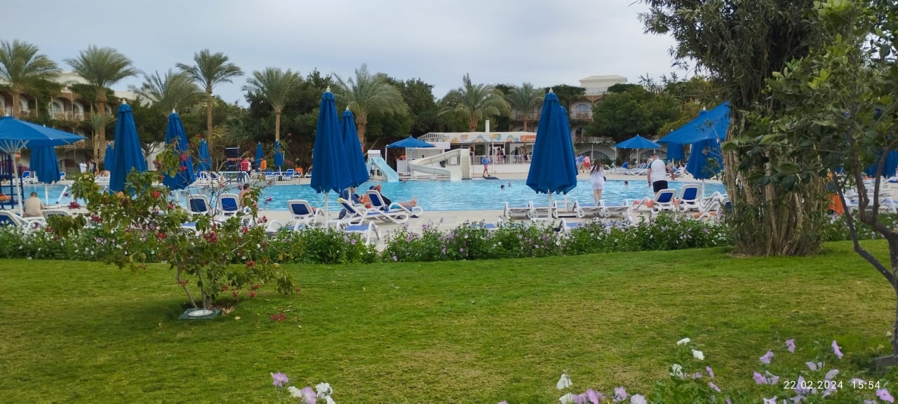 Sport & Freizeit Desert Rose