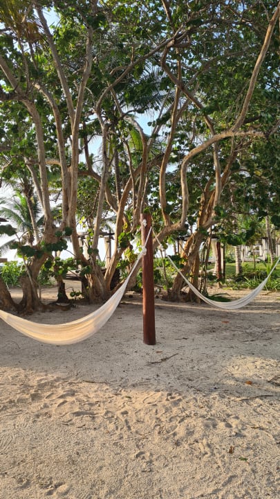 Außenansicht Akumal Bay Beach & Wellness Resort