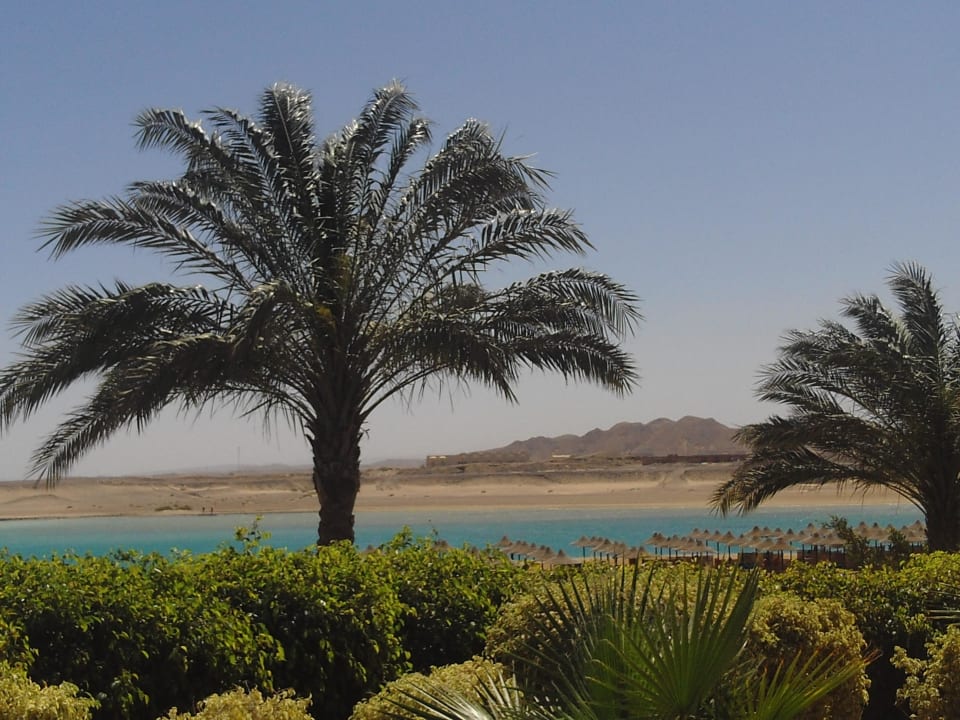 Blick zum Strand TUI MAGIC LIFE Kalawy
