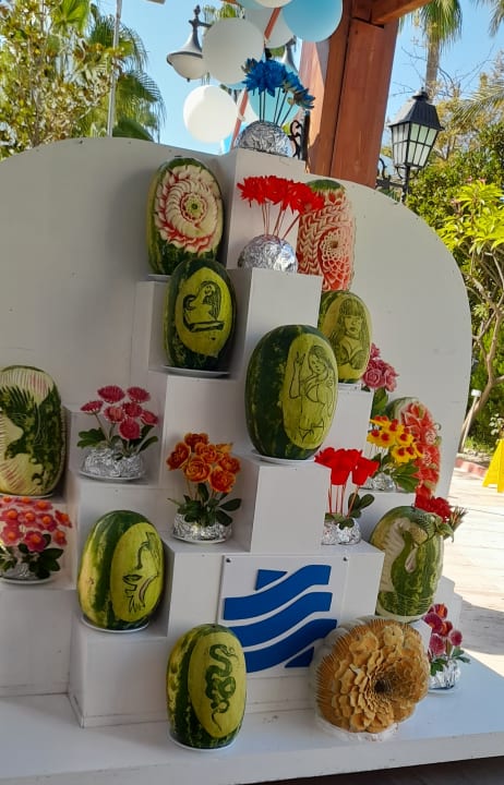 Gastro Saphir Resort & Spa