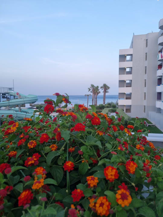 Ausblick Esperides Beach Resort