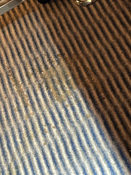 Zimmer H+ Hotel Köln Brühl