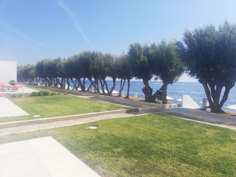 Ausblick Dimitra Beach Hotel & Suites