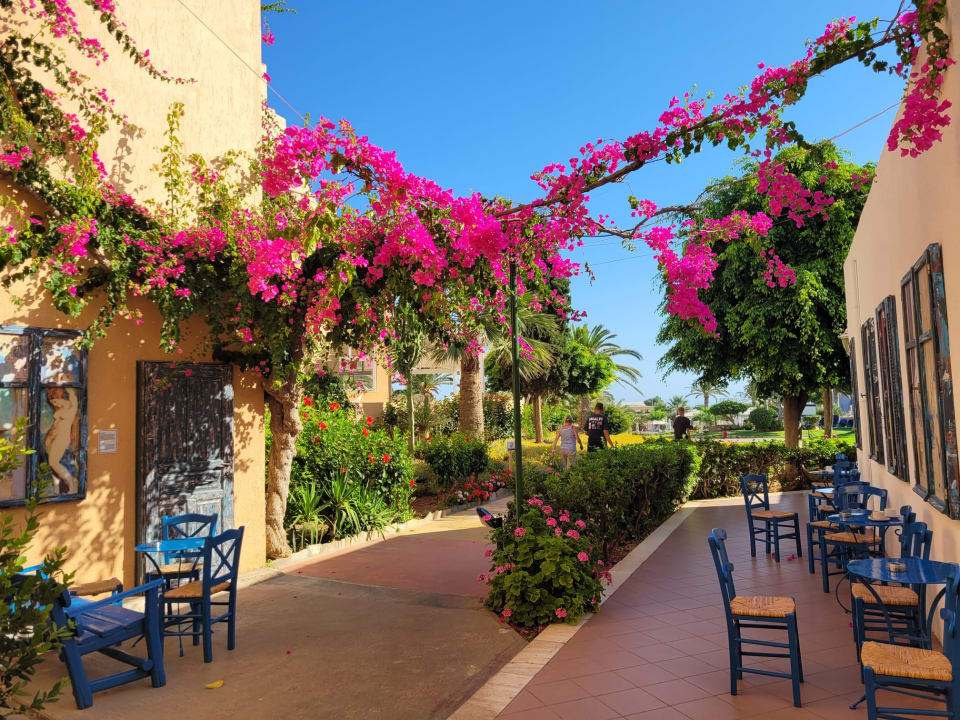 Gartenanlage Anissa Beach & Village