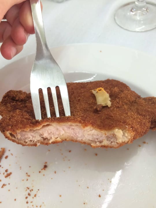 Rohes Schnitzel Hotel Cartago Nova by ALEGRIA