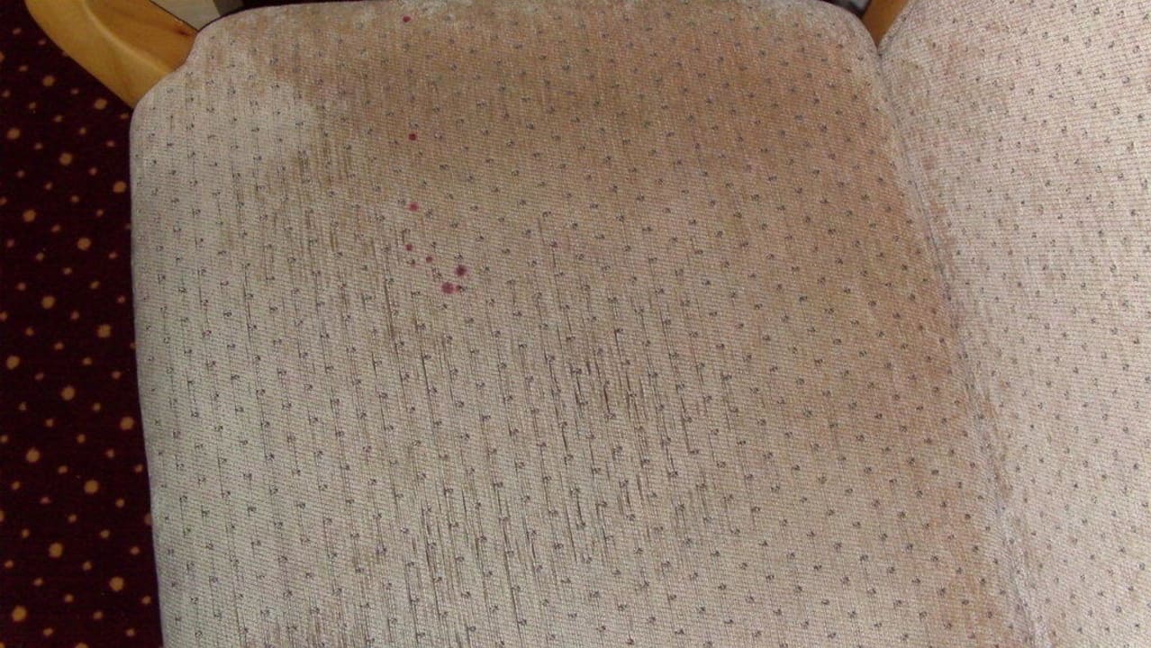 Hoffentlich ist es nur Rotwein  PLAZA INN Hamburg Moorfleet