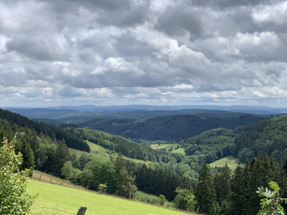 Ausblick Ferienwohnung Emde