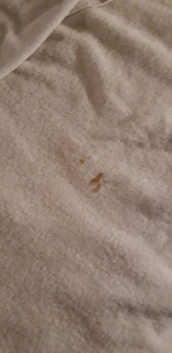 Zimmer Hotel Caves Beach Resort (Adults Only)