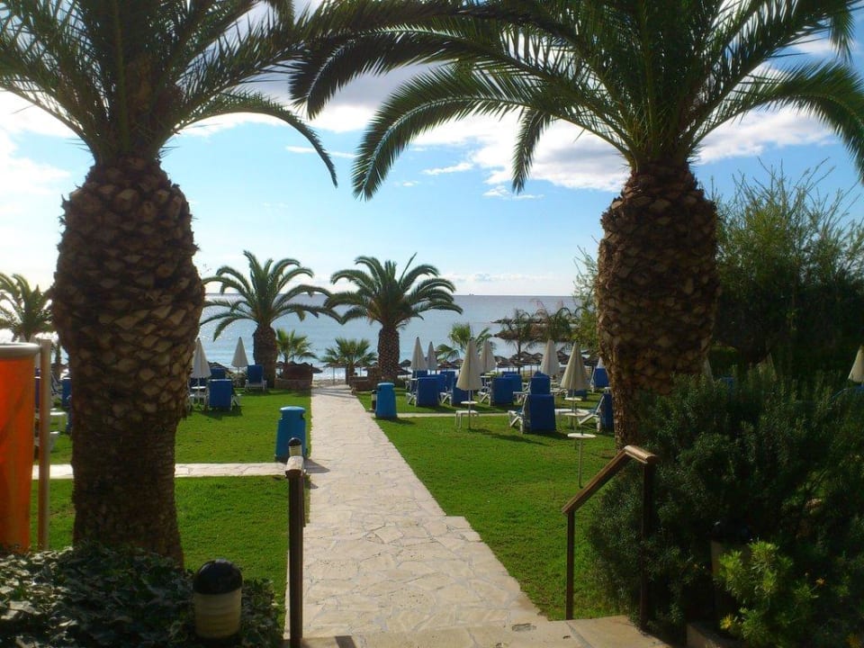 Blick durch den Garten Richtung Meer Mediterranean Beach Hotel