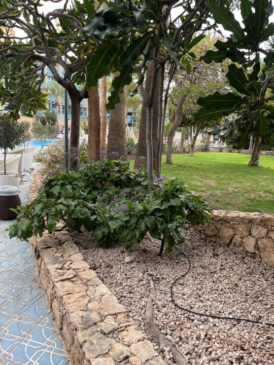 Gartenanlage MUR Hotel Faro Jandia & Spa Fuerteventura