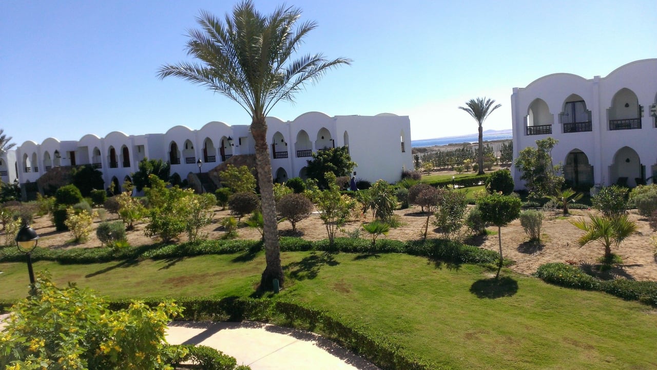 Hotel Gorgonia Beach Hotel Gorgonia Beach Resort