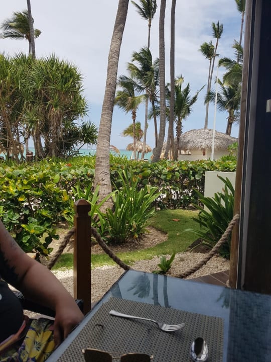 Gartenanlage Grand Palladium Punta Cana Resort & Spa