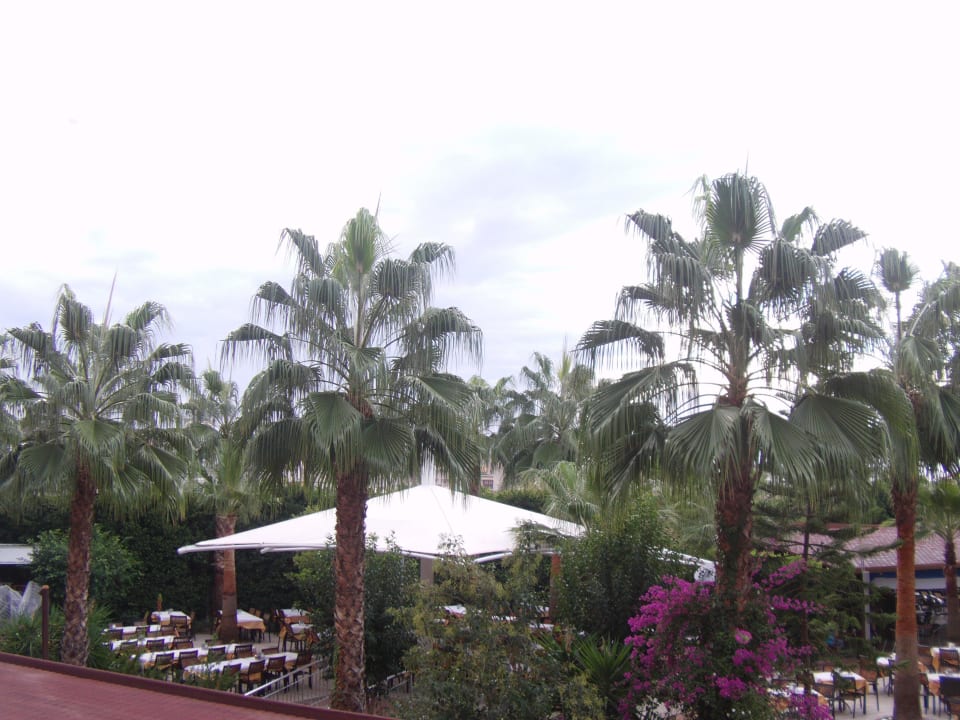 Garten Hane Family Resort