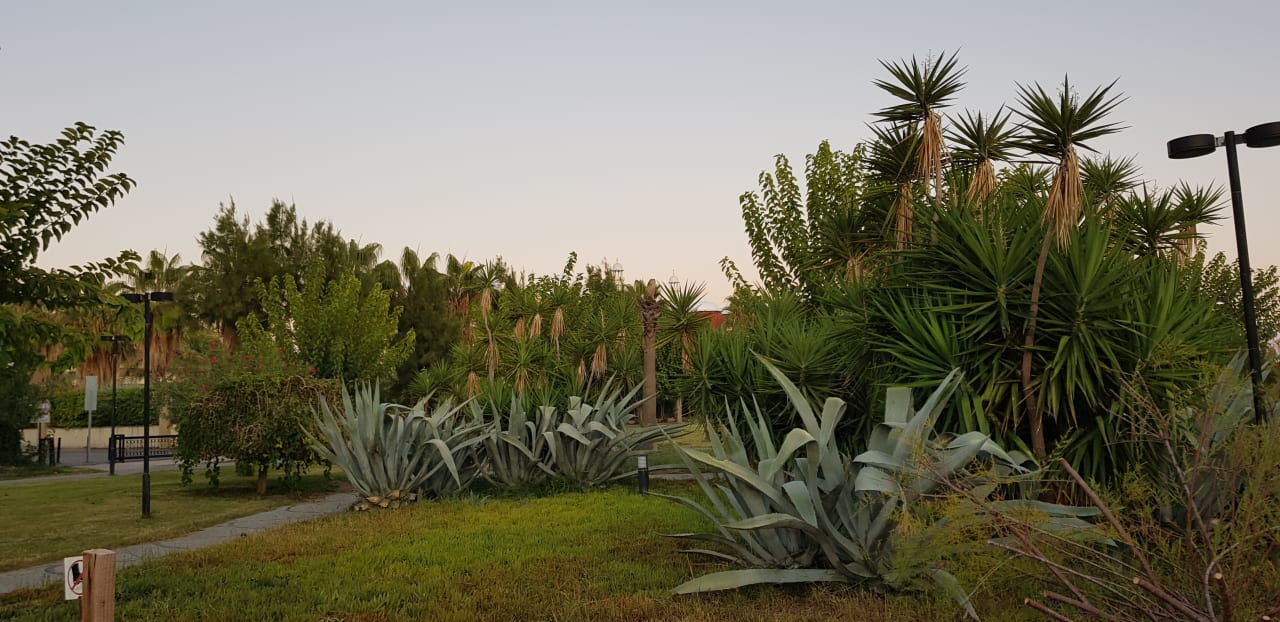 Strand Hane Family Resort