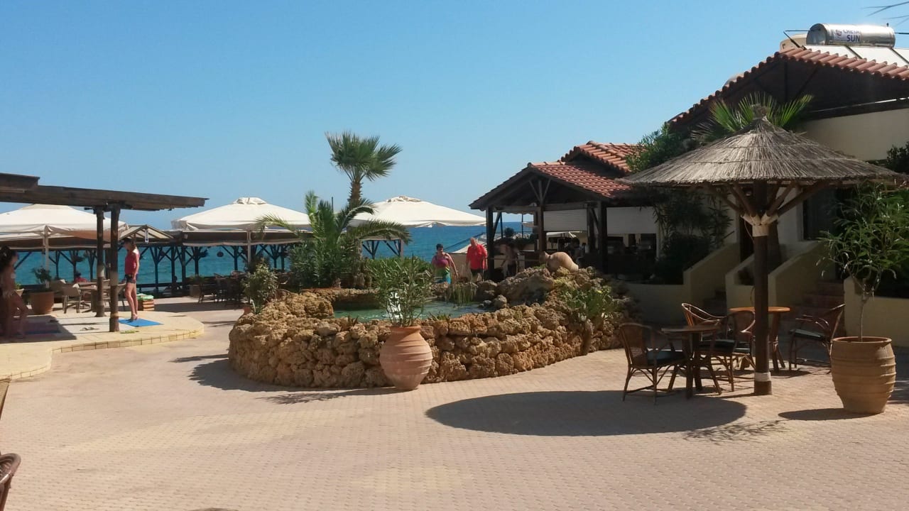 Strandbar Cactus Beach