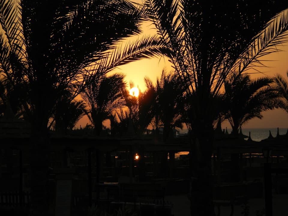 Sonnenaufgang Pickalbatros Palace Resort