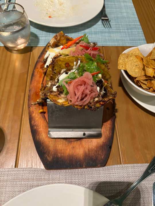 Gastro JAZ Elite Asteria