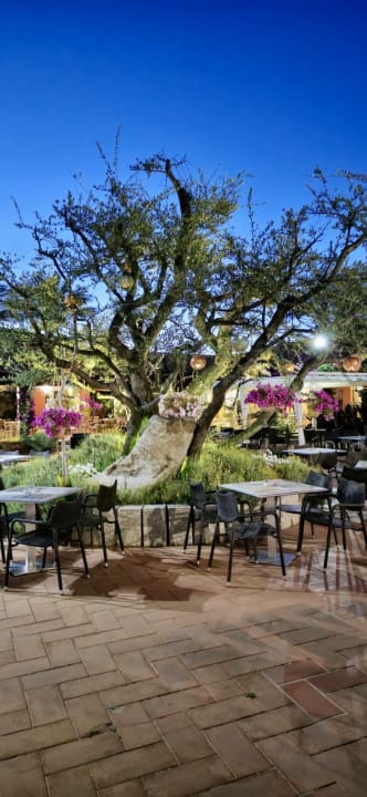 Gastro Hotel Club Saraceno