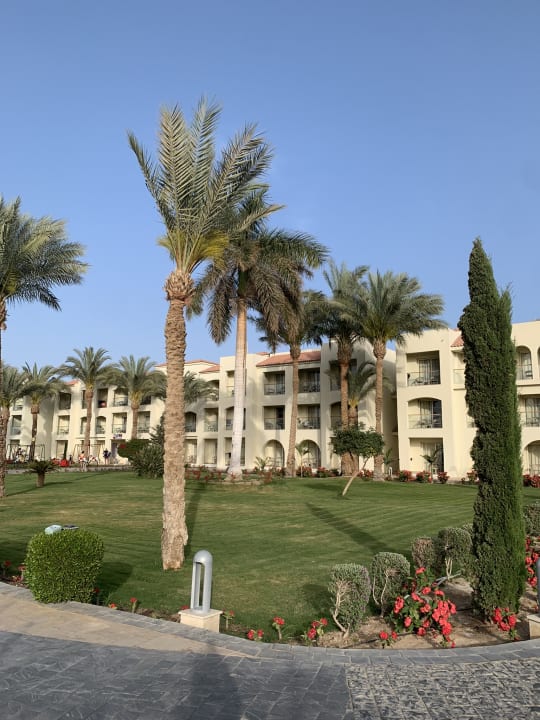 Gartenanlage Pickalbatros Dana Beach Resort - Hurghada