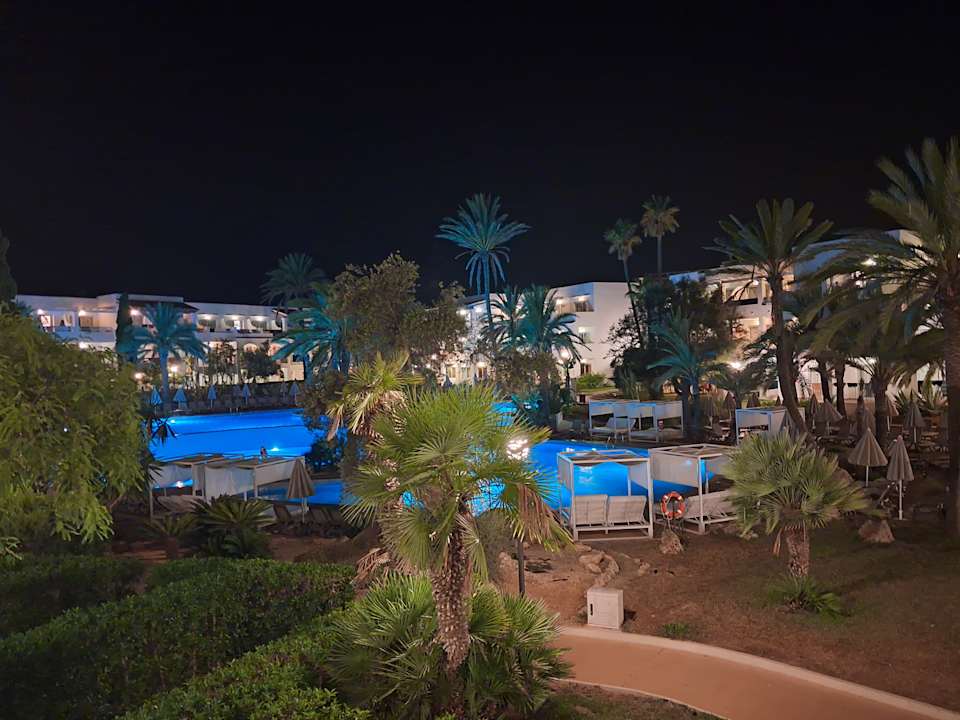Pool Calimera Fido Gardens