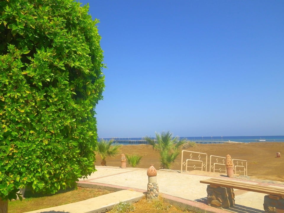 Weg zwischen Hotel und Strand Shams Alam Beach Resort