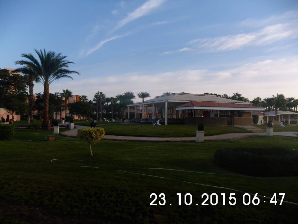 Bananabar für abendliche Veranstaltungen Beach Albatros Resort