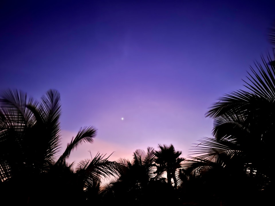 Ausblick Hotel Riu Palace Boavista