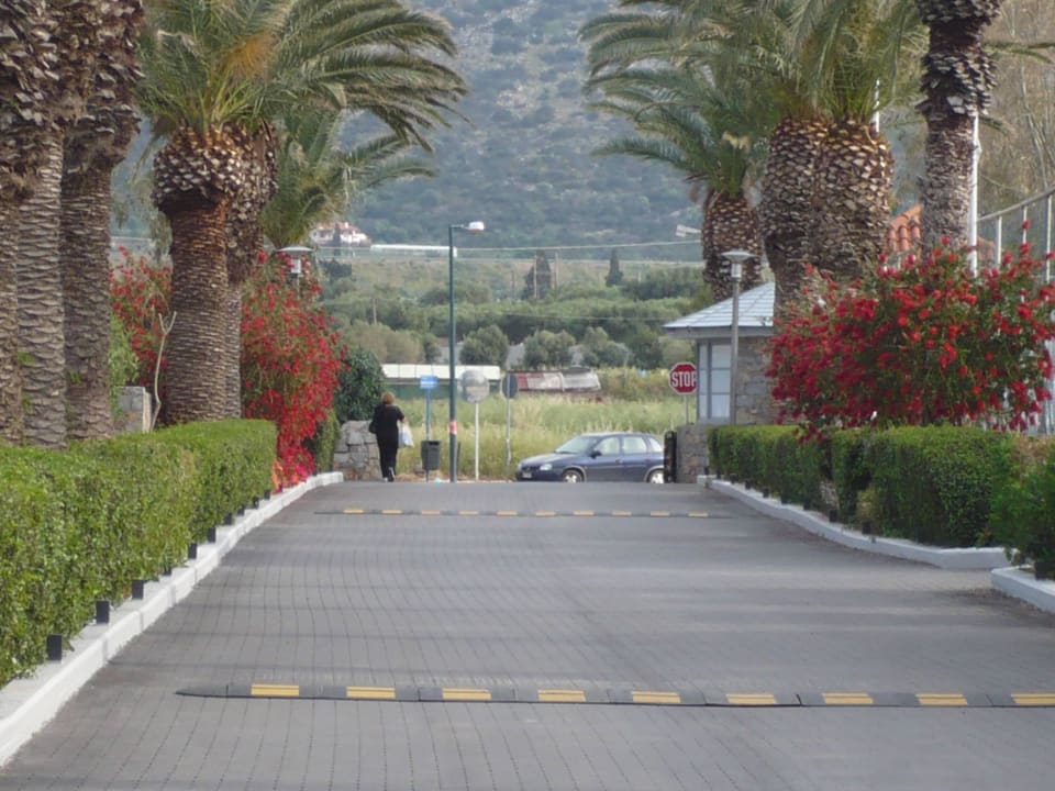 Einfahrt Hotel Phãea Cretan Malia