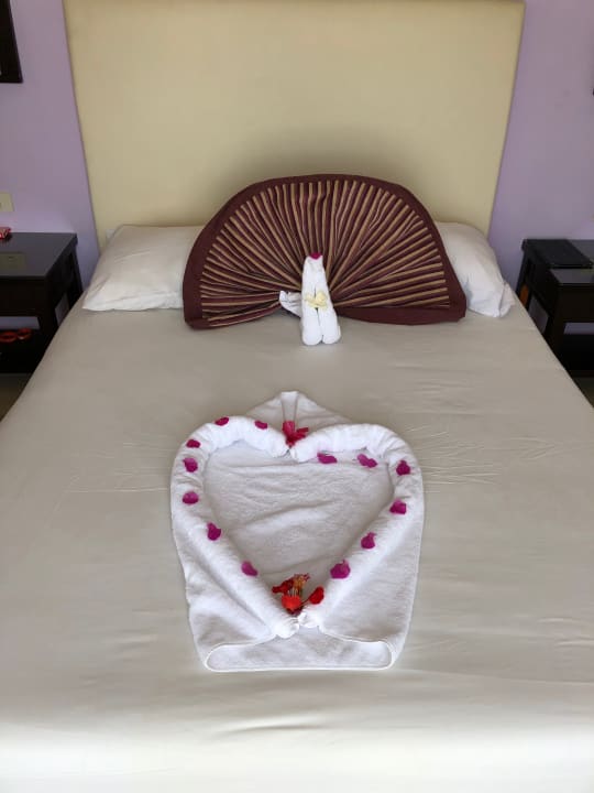 Zimmer JAZ Neo Saraya Palms