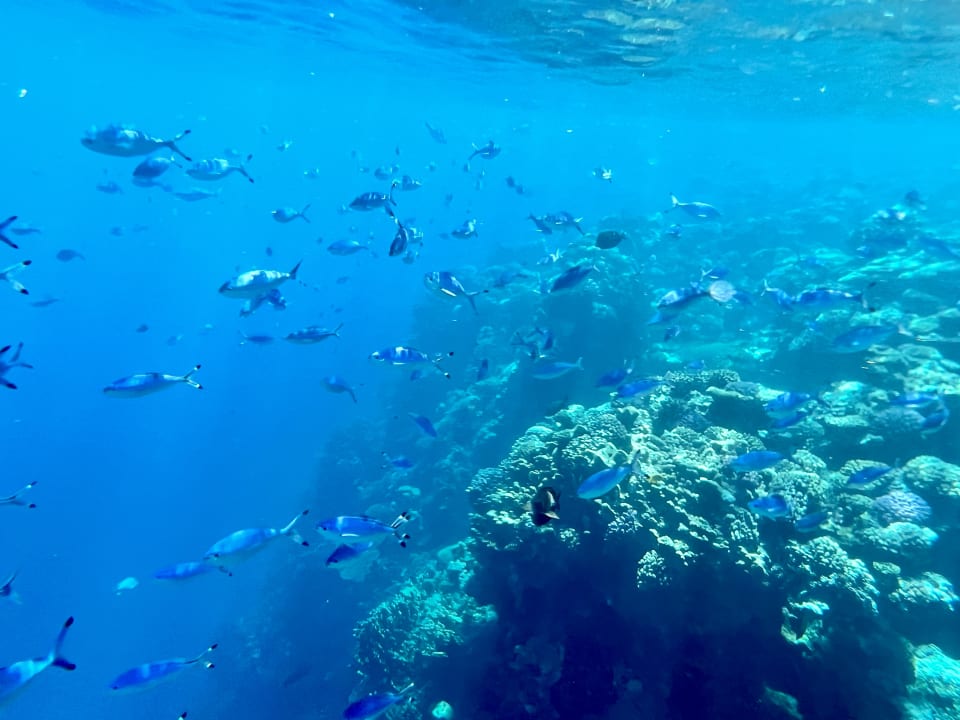 Sport & Freizeit Novotel Marsa Alam Beach Resort