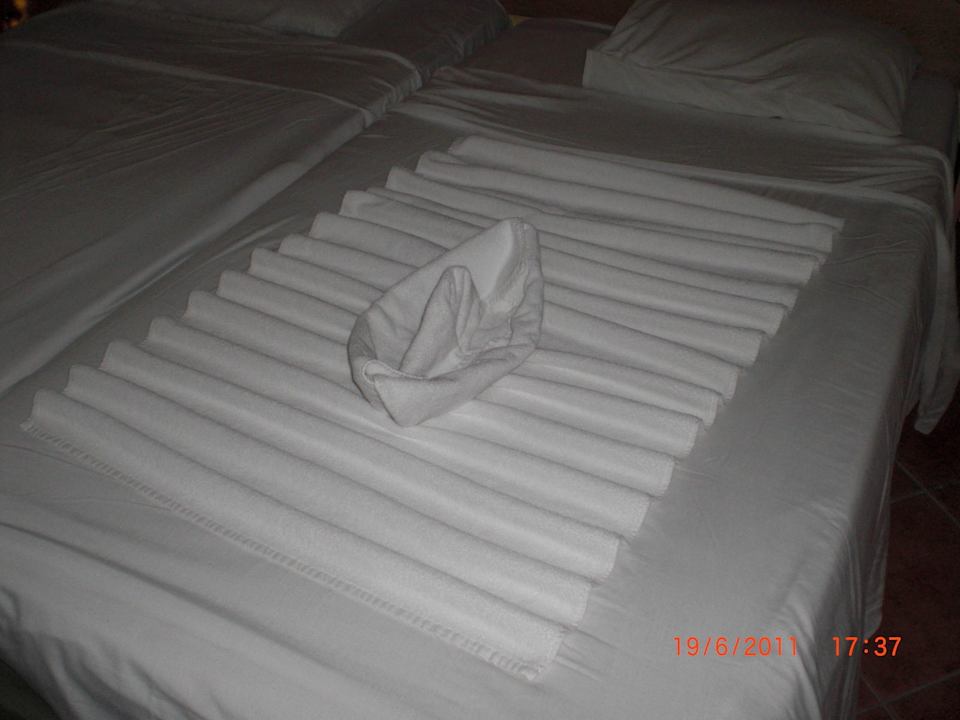 Bett Ghazala Gardens