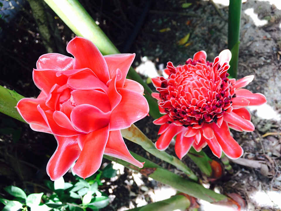 Gartenanlage The Grand Southsea Khaolak Beach Resort