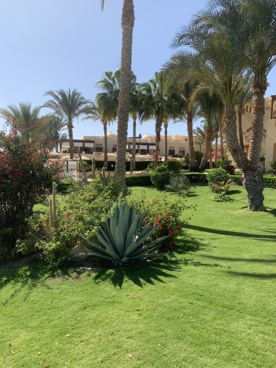 Gartenanlage Steigenberger Coraya Beach - Adults only