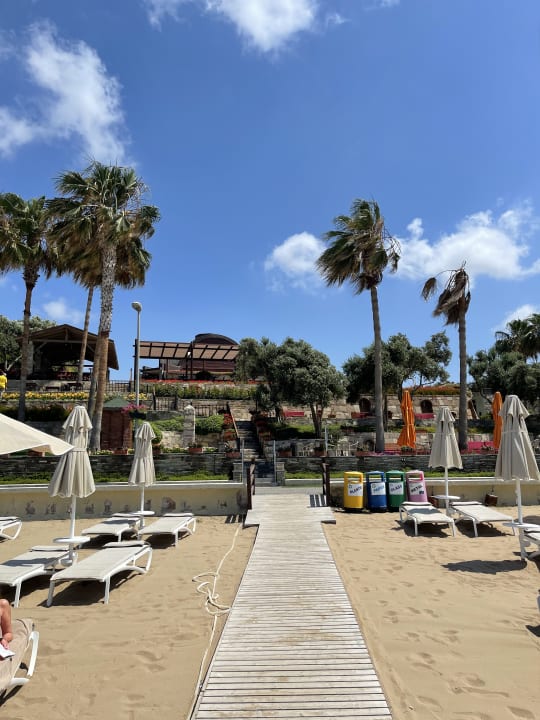 Strand Arum Barut Collection